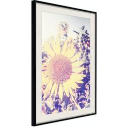 Arkiio Affisch Sunflower [Poster] 20x30 Poster